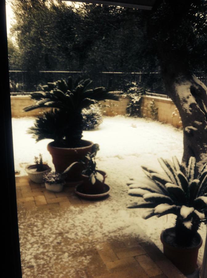 Les Fleurs B&B บารี ภายนอก รูปภาพ